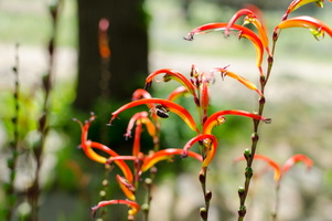 La Ciotat - Avril 2014